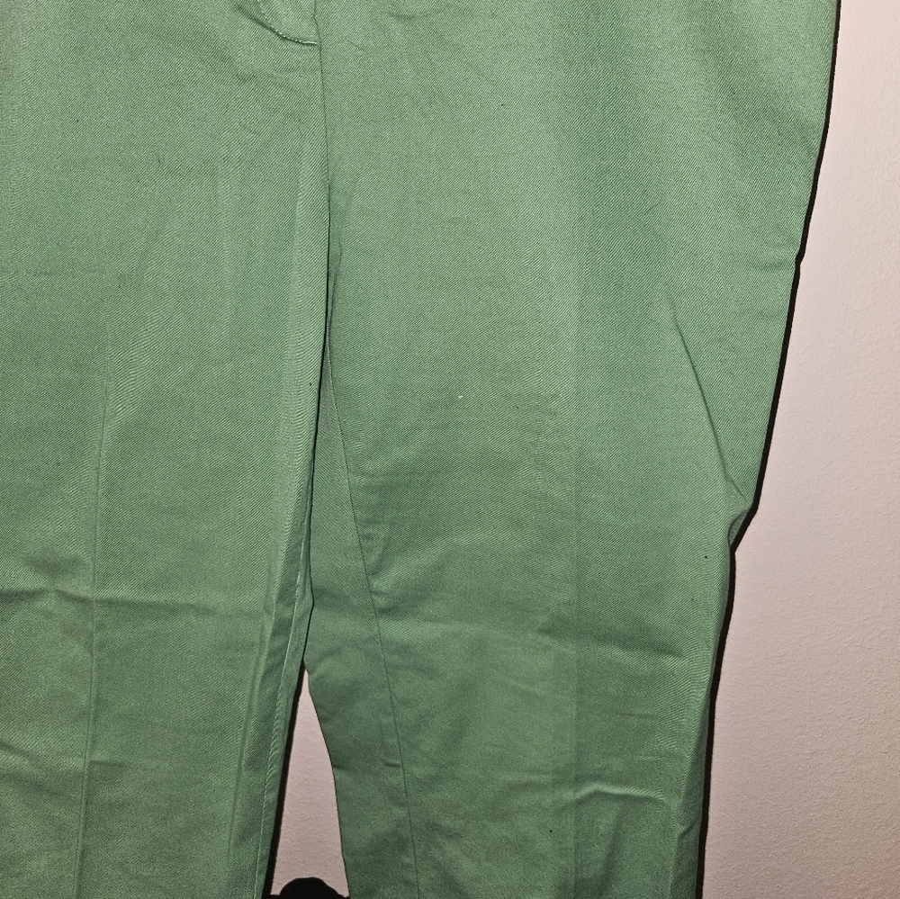 Lands End Womans Green Mid Rise Slim Leg Pants Size 16T - Picture 4 of 13